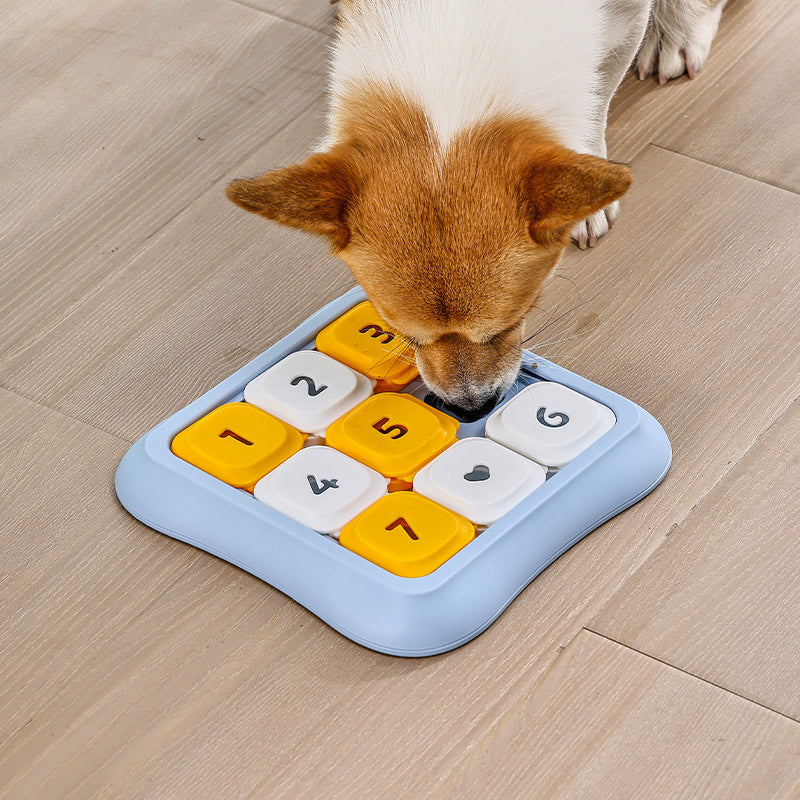 🐶 IQ Master: Pet Puzzle (Level 1)